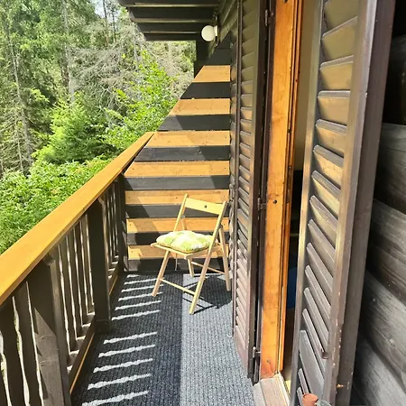 Apartment Hisa Jelka *